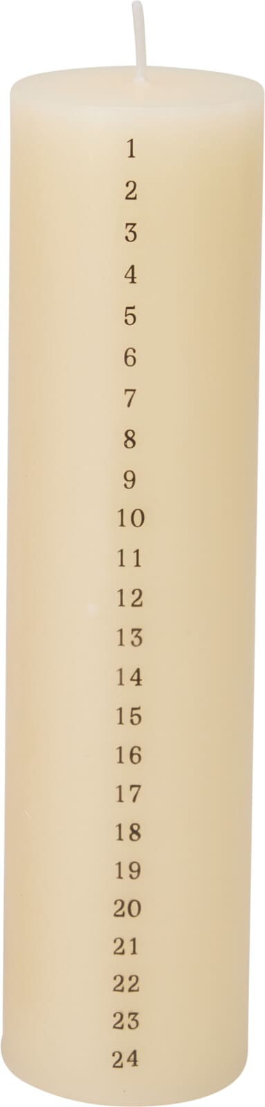 90094225.jpg